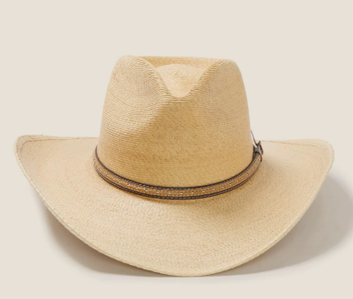 Moj potovalni spremljevalec: stetson hat